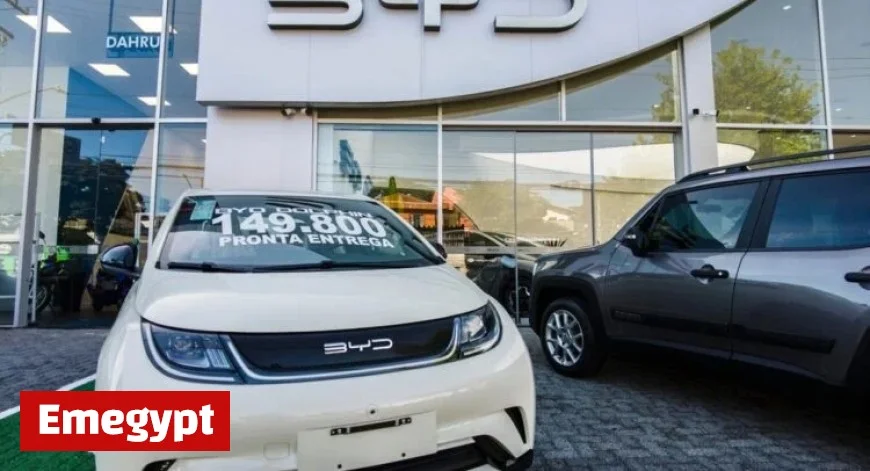 Chinese EV Manufacturer BYD Faces Largest-Ever Vehicle Recall in History
