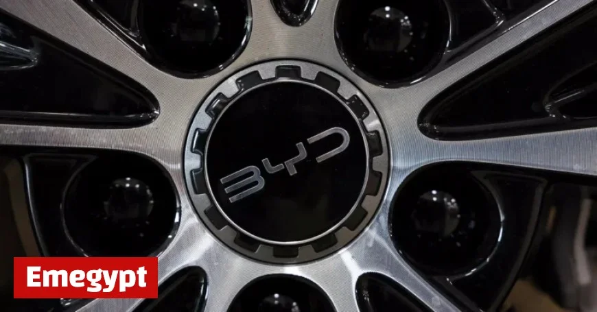 BYD Announces Massive Recall of Over 115,000 Vehicles Over Design and Battery Concerns