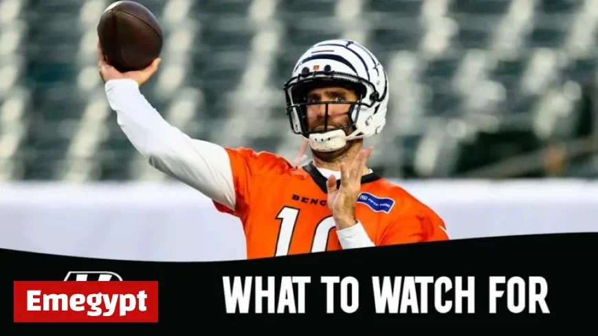 Steelers vs Bengals Week 7 Key Highlights and Must-Watch Moments