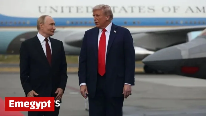 Putin-Trump Call Throws Unexpected Challenge for Zelensky Before White House Meeting