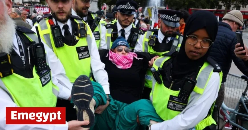 UK unsuccessful in attempt to prevent challenge to Palestine Action ban under anti-terrorism laws