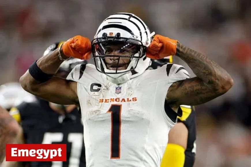 Bengals vs Steelers highlights: Evan McPherson clinches victory after classic Joe Flacco showcase