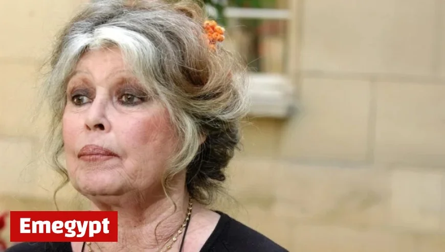Brigitte Bardot Hospitalized in Toulon: Latest Updates on Her Health