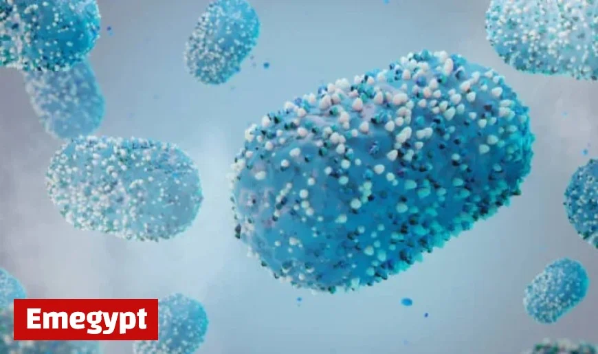 California Confirms First Locally Acquired Case of Severe Clade 1 Mpox in the US