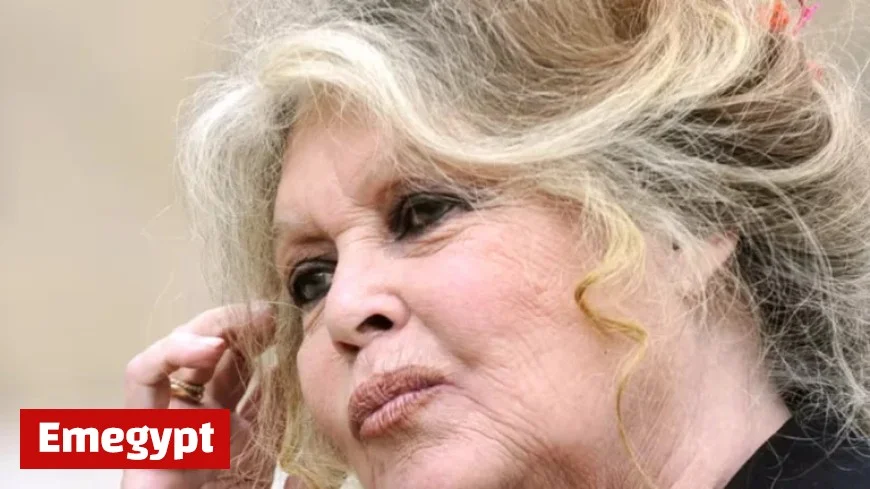 Brigitte Bardot 91 Hospitalized with Severe Illness