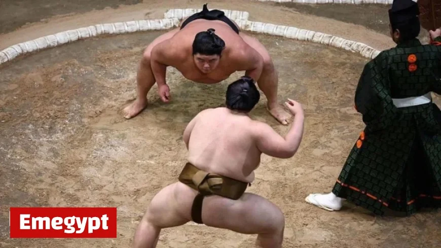 Experience the Thrill of Sumo Wrestling Live at the Grand Sumo Tournament in Royal Albert Hall London