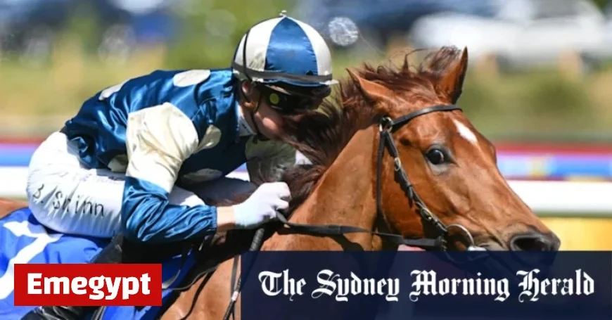 Everest 2025: Comprehensive Race-by-Race Preview and Expert Tips for Randwick Saturday