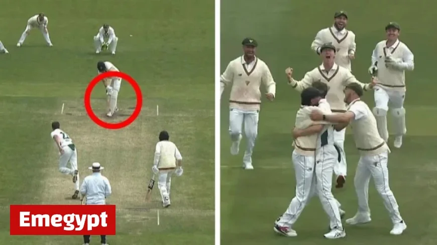 Epic Finish Sees Tassies Snatch Thrilling Three-Run Victory in Shield Classic