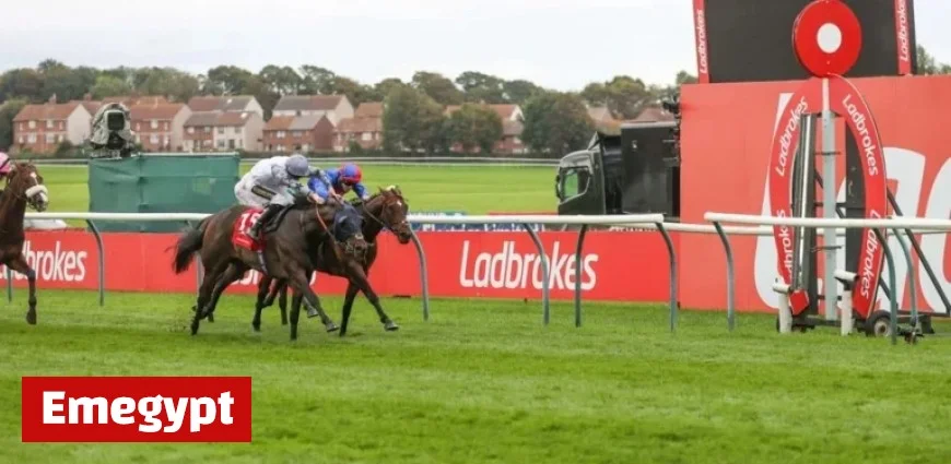 Entain the Owner of Ladbrokes and Coral Surges with Six Percent Revenue Growth Despite Favorable Sports Outcomes for Punters