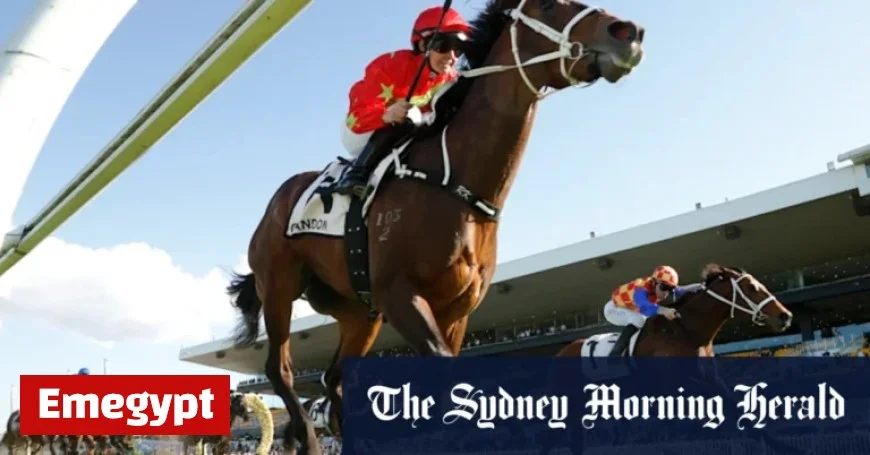 Concerns Over Racing NSW Behavior at Rosehill Inquiry Spark ‘Chilling Effect’ Debate