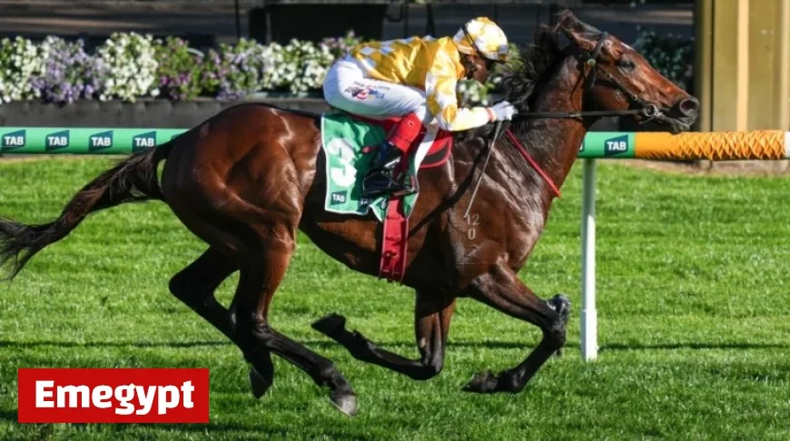 Melbourne Cup and Cox Plate Favorite Withdrawn from Spring Carnival Sparking Disappointment