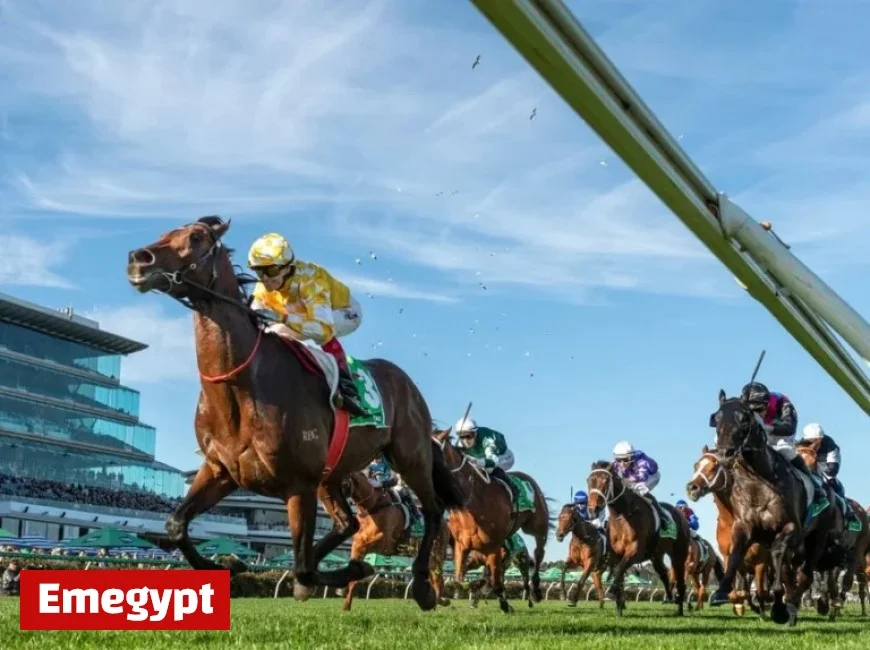 Melbourne Cup Favorite Withdrawn from Flemington Showpiece After Failing Vet Check