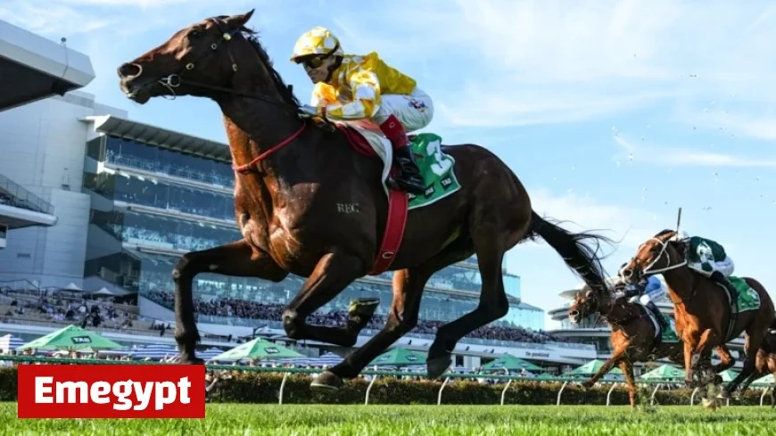 Top Contender Withdrawn from Melbourne Cup and Cox Plate Due to Veterinary Concerns