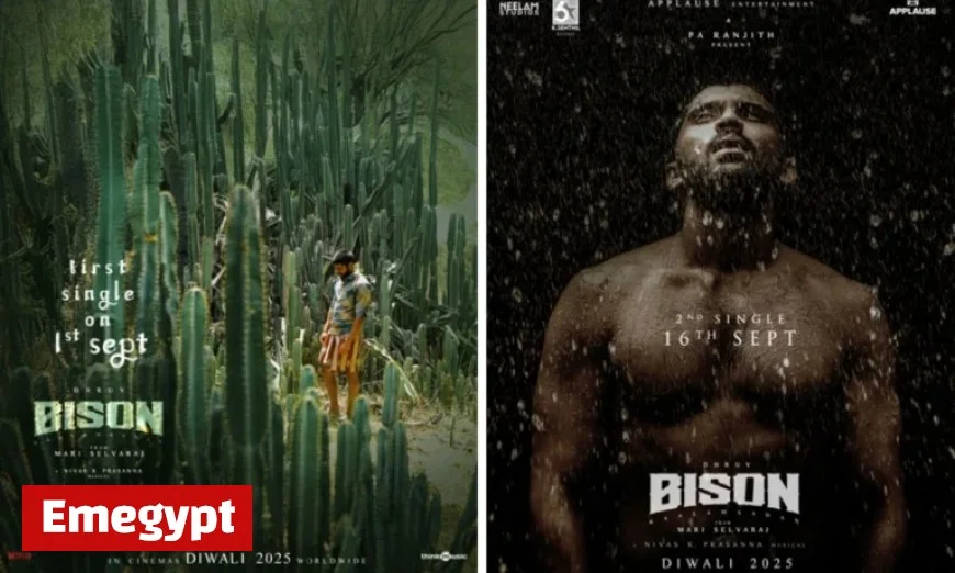 Aditi Anand’s Bison: A Film Fueled by Pure Instinct