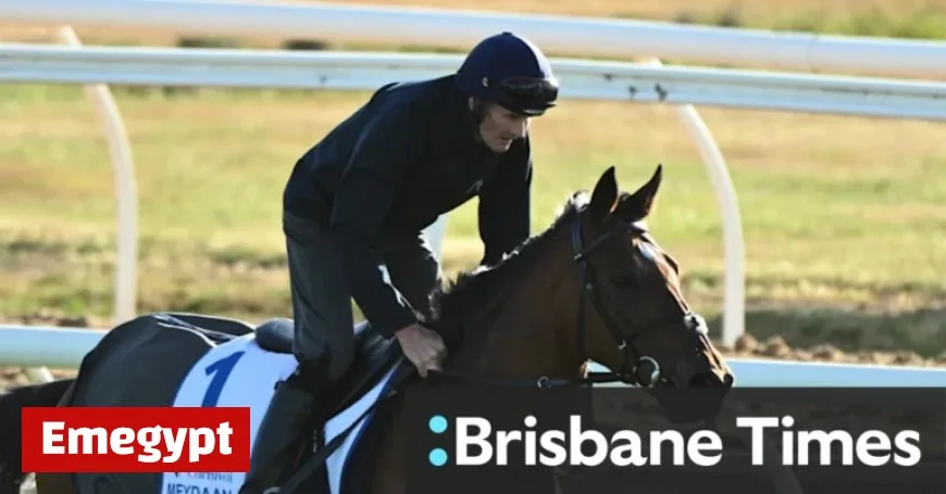Melbourne Cup Favorite Withdrawn Amid Increased Injury Risk