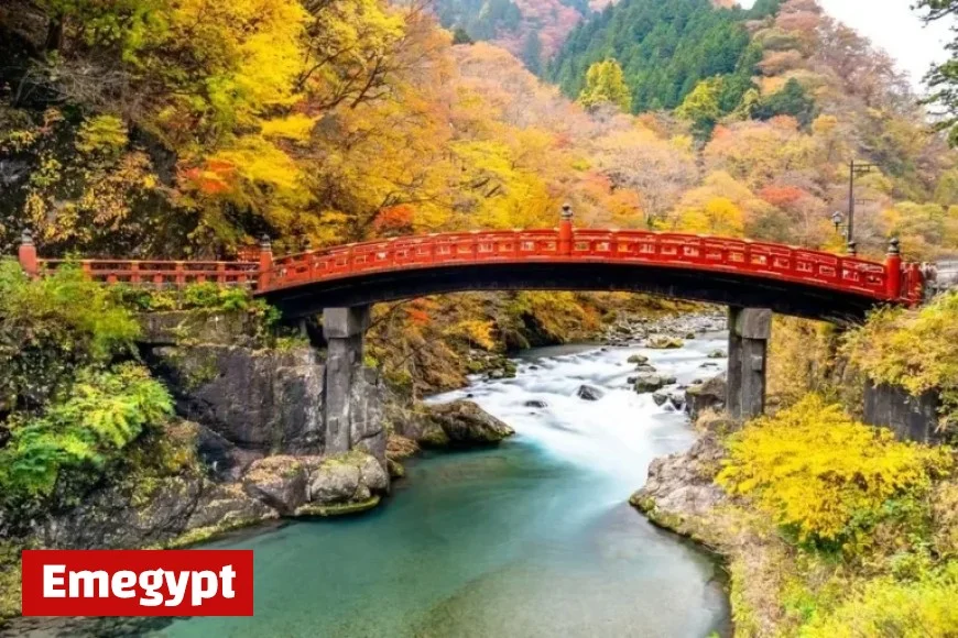 Top 6 Must-Visit Destinations for 2026 Revealed by Travel Experts