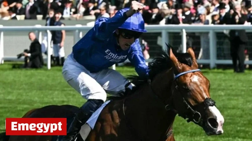 Ombudsman Delacroix and Calandagan Set for Exciting Clash at Ascot on British Champions Day