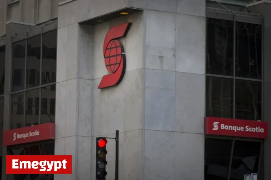 Scotiabank Cuts Jobs to Enhance Efficiency