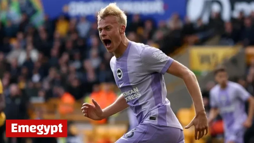 How to Livestream Brighton vs Newcastle Premier League Soccer from Anywhere