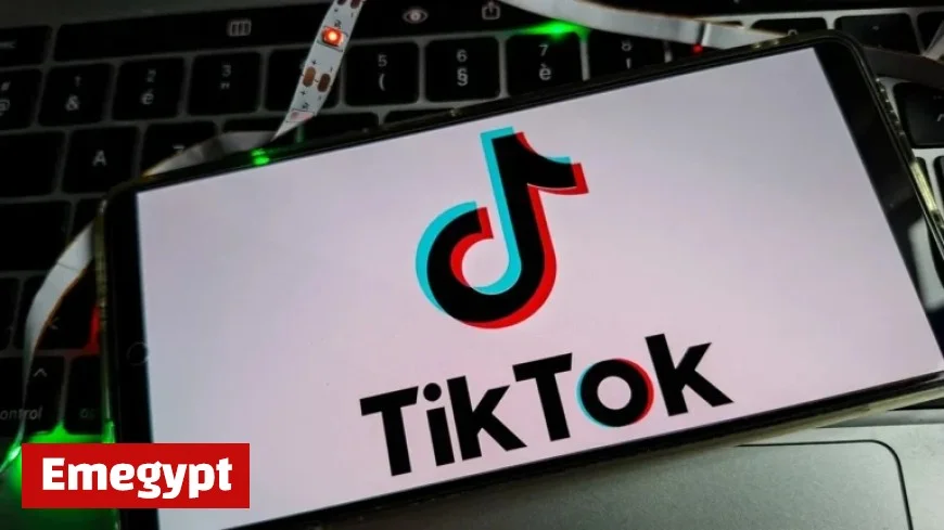 TikTok Star Steve Bridges Dies at 41 as Wife Shares Emotional Tribute Video