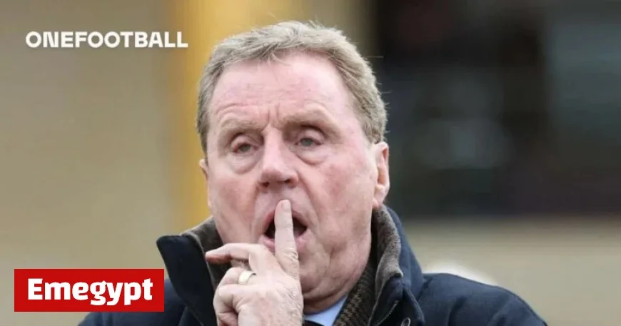 Harry Redknapp Delivers Verdict on Newcastle United