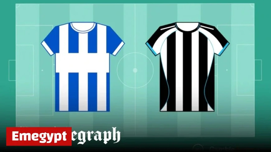 Brighton vs Newcastle United Match Preview: Expert Premier League Predictions and Best Odds
