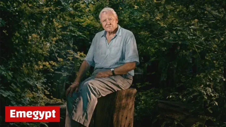 David Attenborough Makes History as Oldest Daytime Emmys Winner at Age 99