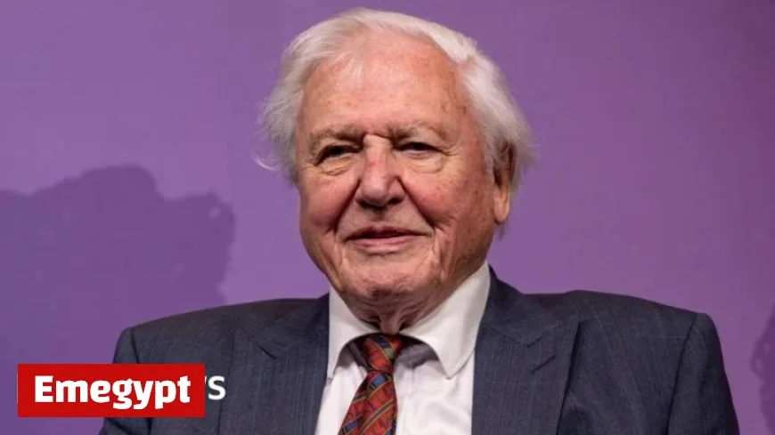 Sir David Attenborough becomes the oldest Daytime Emmy winner for Secret Lives of Orangutans