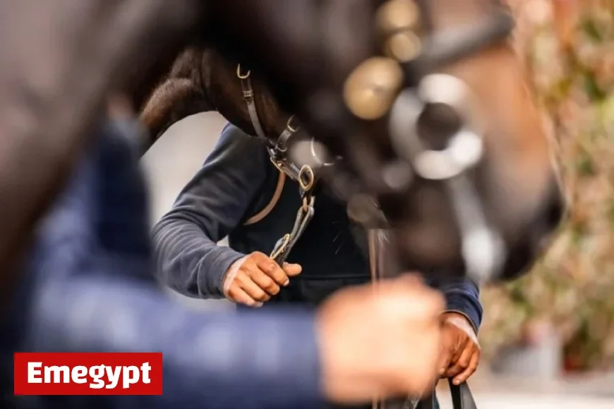 Goffs Autumn Horses In Training Catalog Spotlighted by Aga Khan Draft