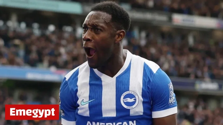 Danny Welbeck’s Double Secures Brighton’s 2-1 Triumph Over Newcastle Despite Nick Woltemade’s Efforts