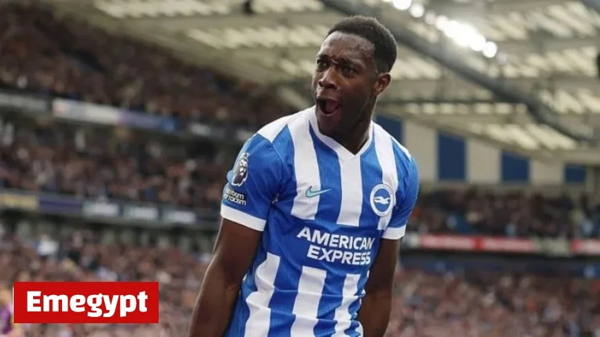 Danny Welbeck’s Dramatic Late Goal Seals Victory for Brighton Against Newcastle