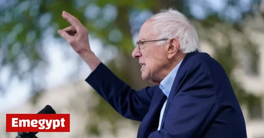 Bernie Sanders Addresses Enthusiastic Crowd at No Kings Rally in Washington D.C.