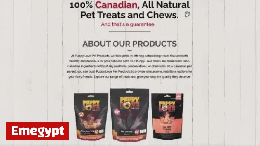 Salmonella Outbreak in Dog Food Infects 31 People
