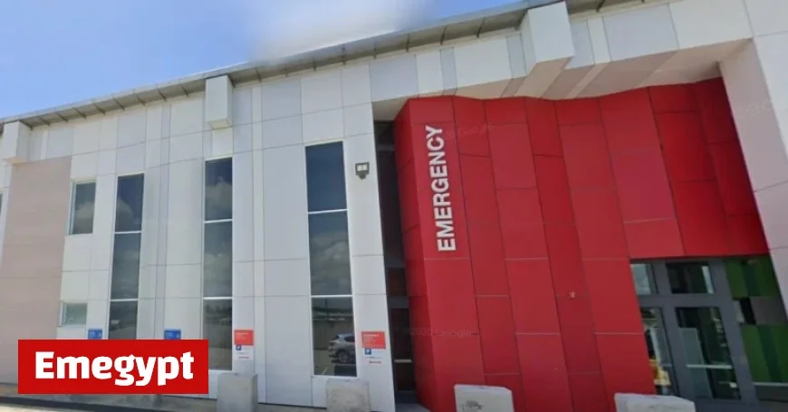 Concerns Rise Over Rat Poisoning After Multiple Takeaway Orders Linked to Illness Cluster