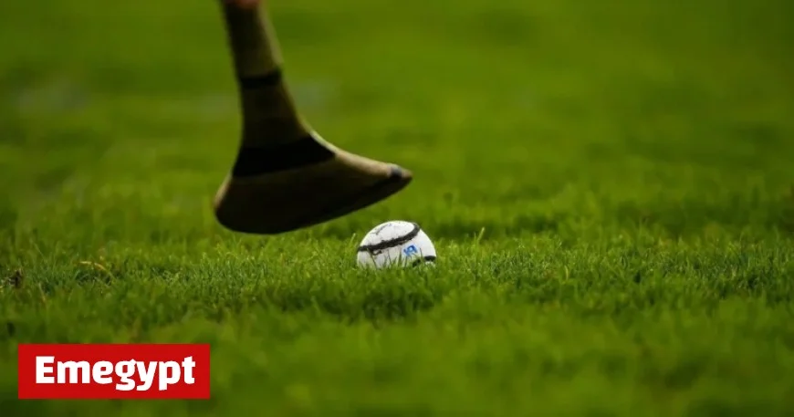 Murroe Boher Dominates to Claim Limerick Intermediate Championship Title
