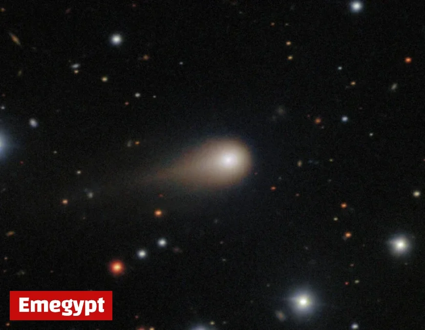 Discover an Interstellar Message in a Bottle