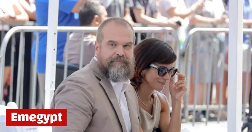 Lily Allen Hints at David Harbour’s Alleged Infidelity in Her Latest Song