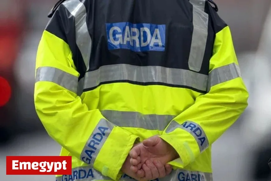 Tragic Kilkenny Accident: Multiple Horses Killed in Vehicle Crash