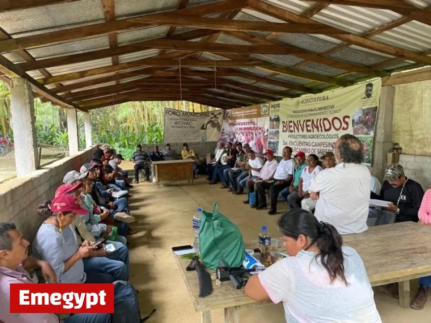 Promising Future Ahead for Guerrero Coffee Farmers