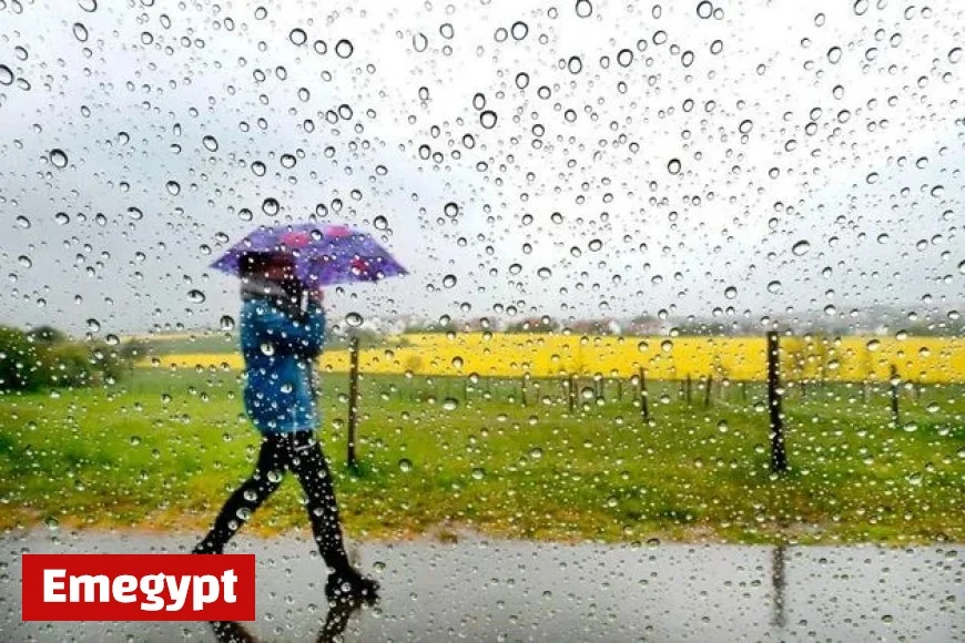Get Ready for an Unsettled Week Ahead with Status Yellow Rain Warnings in Two Counties