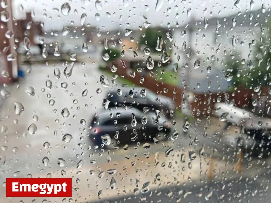Expect powerful 50 mph winds sweeping through on Sunday afternoon