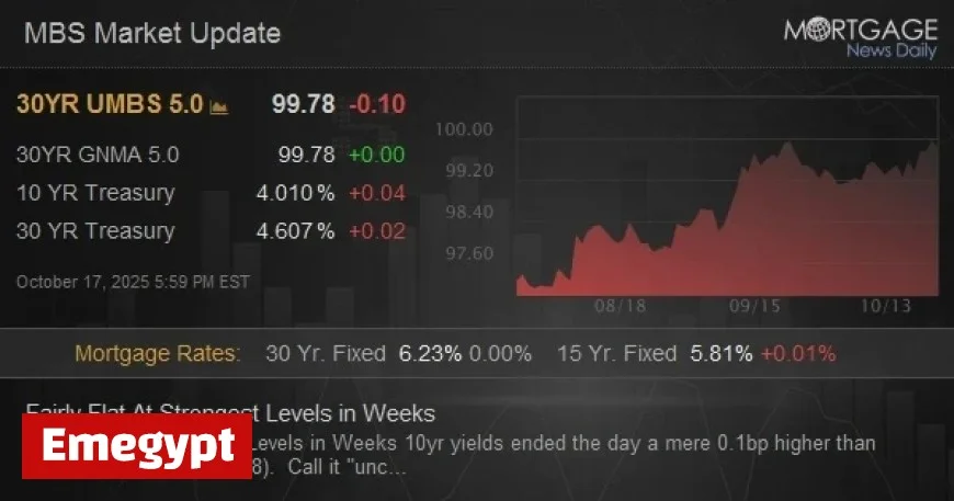 Market Levels Remain Steady Reaching Peak Performance in Recent Weeks