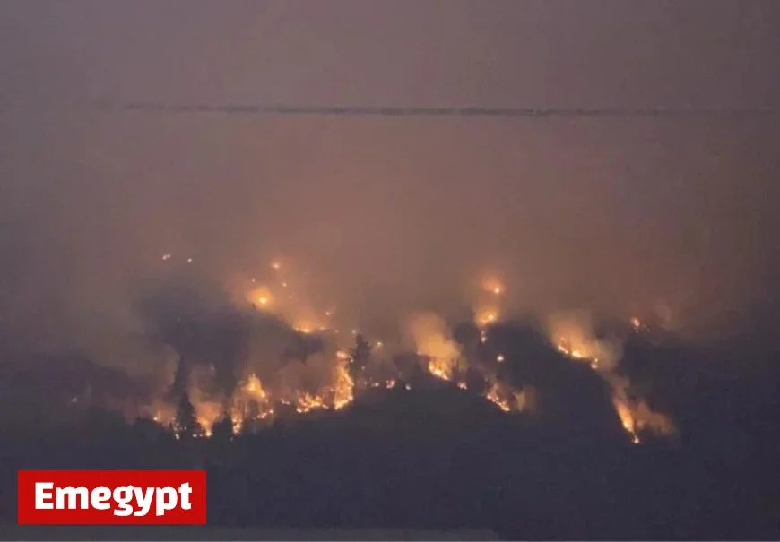 Firefighters in Action Battling Forest Blaze Near Domaine Morency