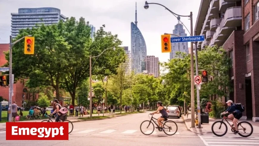 Toronto Weather Update: Enjoy a Warm 20-Degree Saturday Before Rain Arrives Sunday