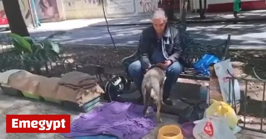 Seeking Support for Televisa Actor Found Homeless with His Cats