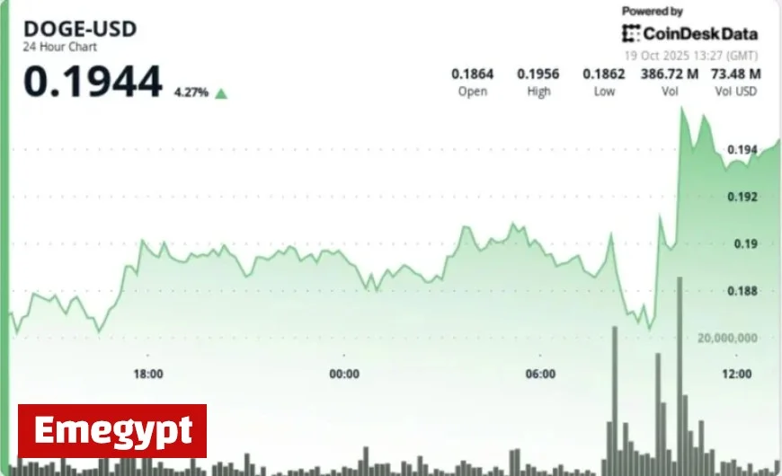 DOGE Steadies at $0.19 as Smart Investors Gather for Anticipated Breakout