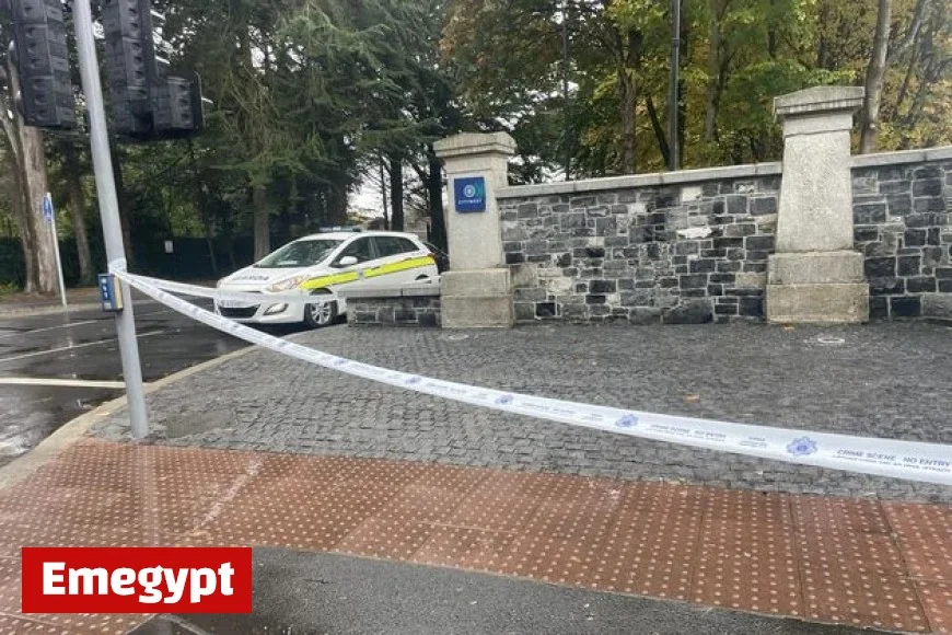Gardaí arrest suspect in alleged sexual assault case involving young girl in West Dublin