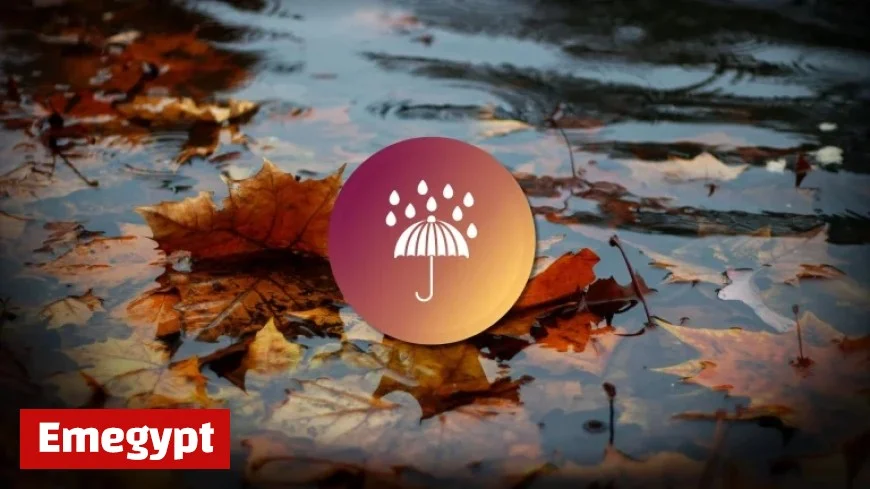 Atlantic Canada to Receive Several Rounds of Much-Needed Rainfall
