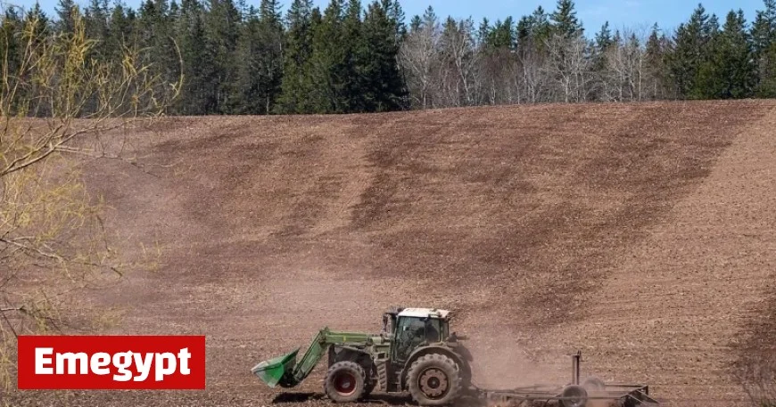 Rain relief brings hope for Maritime farmers battling drought conditions