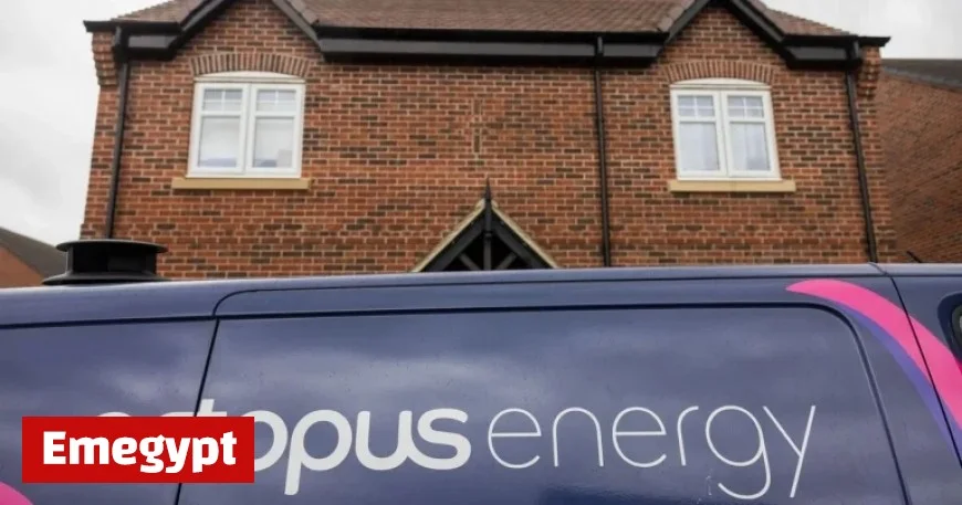 Octopus Energy Offers Free Electric Blankets to Slash £300 Off Your Energy Bill